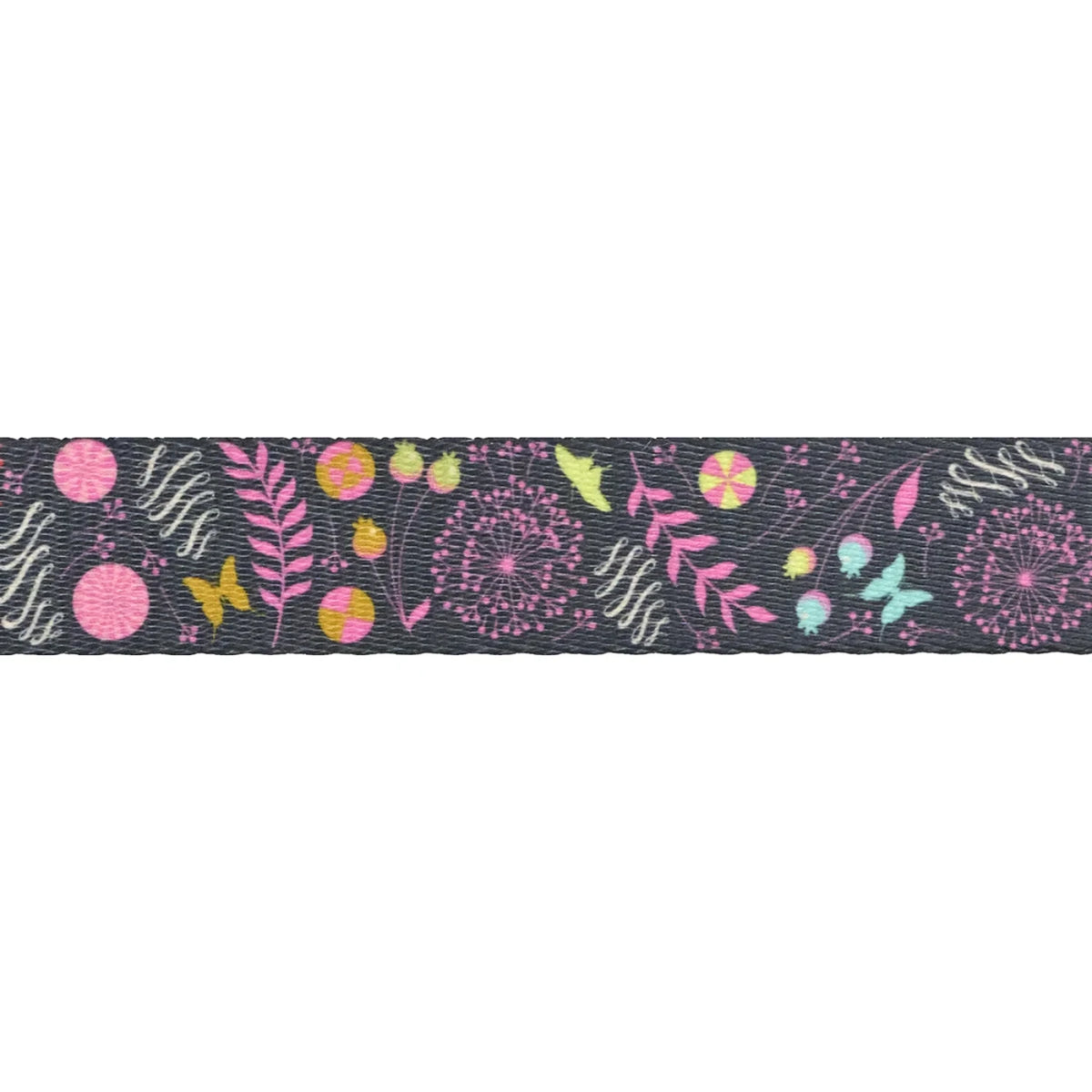 Prince Charming Déjà Vu- Dandelion, 1inch Webbing: Sold by the Yard