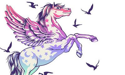 Tula Pink Pegasus Pencil Pouch