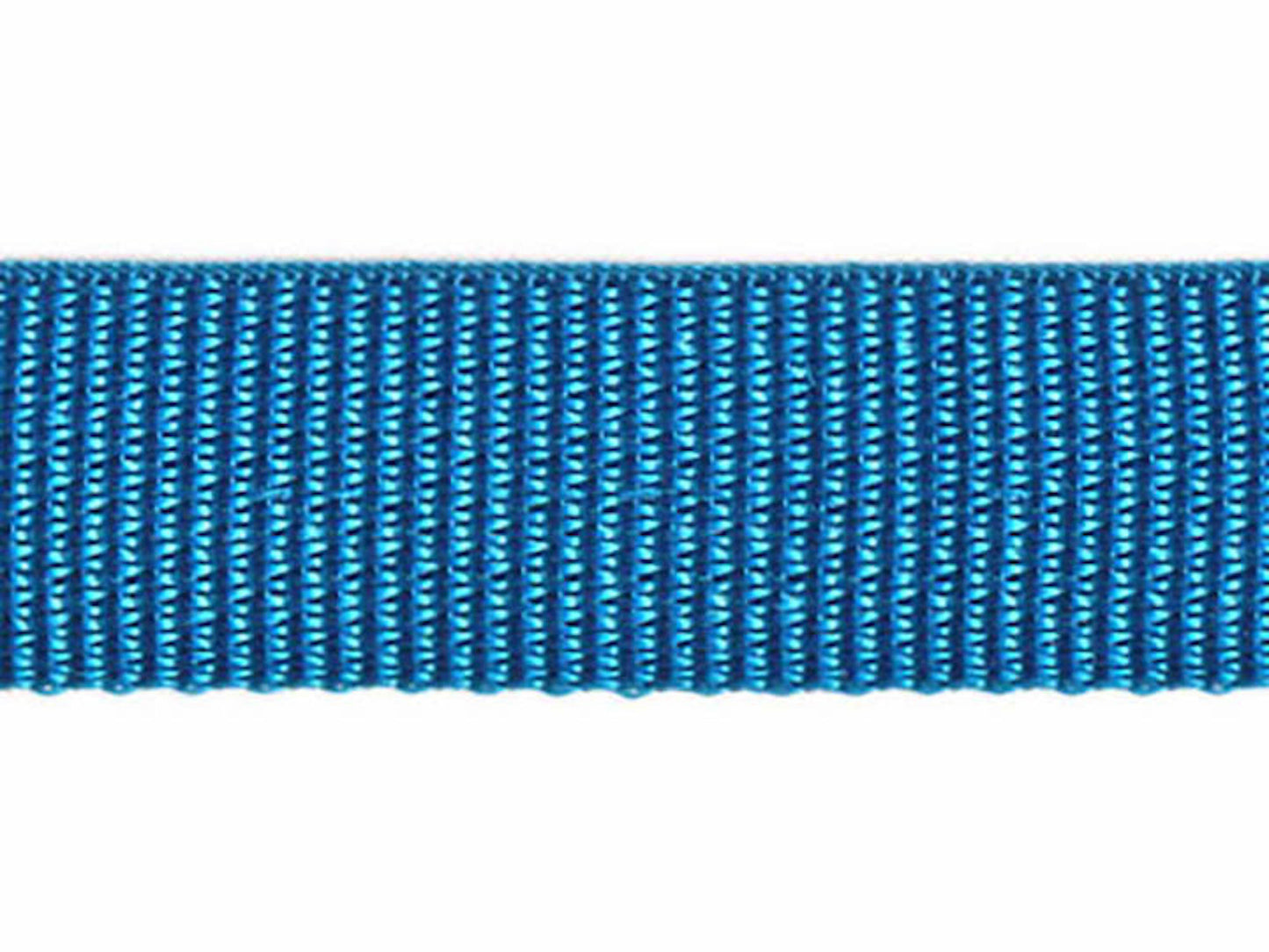 PolyPro 1" Webbing- Turquoise