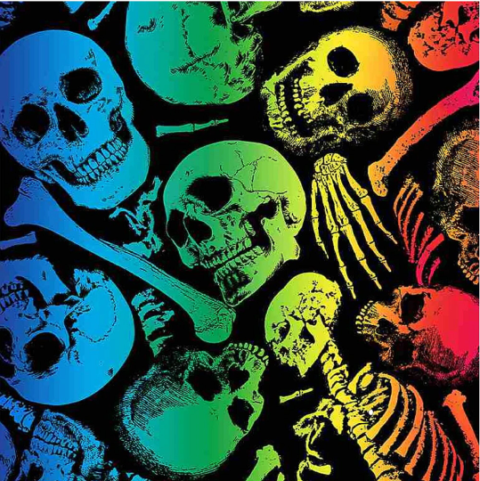 No Bones About It- Rainbow Skulls: Sold By The 1/2 Yard, Cut Continuously