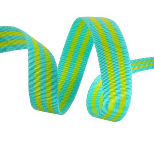 Tula Pink- Lime And Turquoise Webbing: Sold By the Yard- Cut Continuously