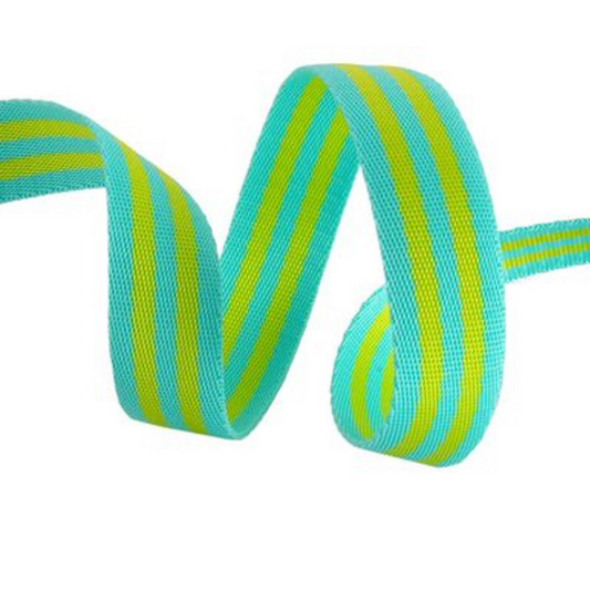 Tula Pink- Lime And Turquoise Webbing: Sold By the Yard- Cut Continuously