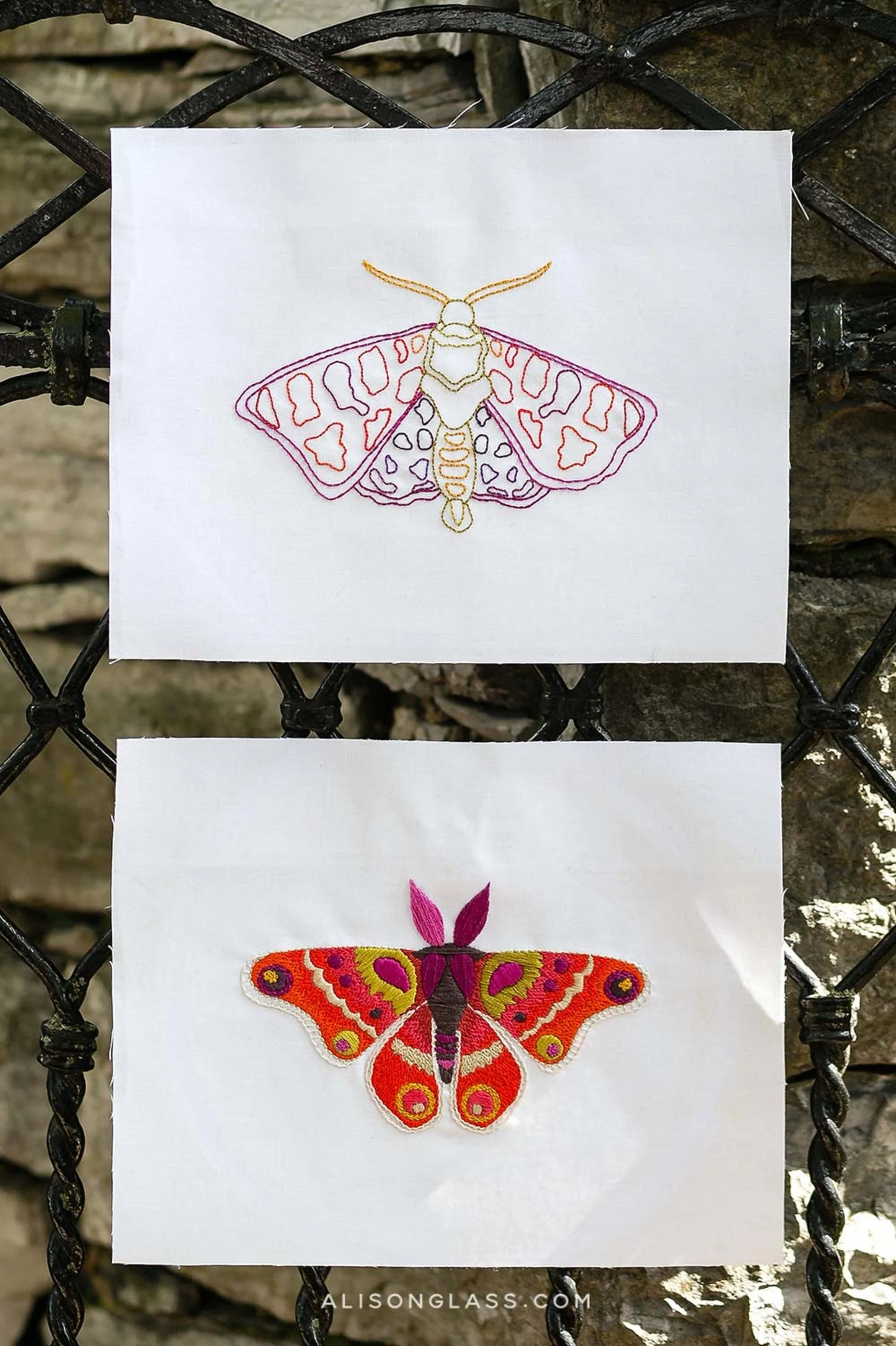 Attacus- Pre-Printed Moth Embroideries by Alison Glass