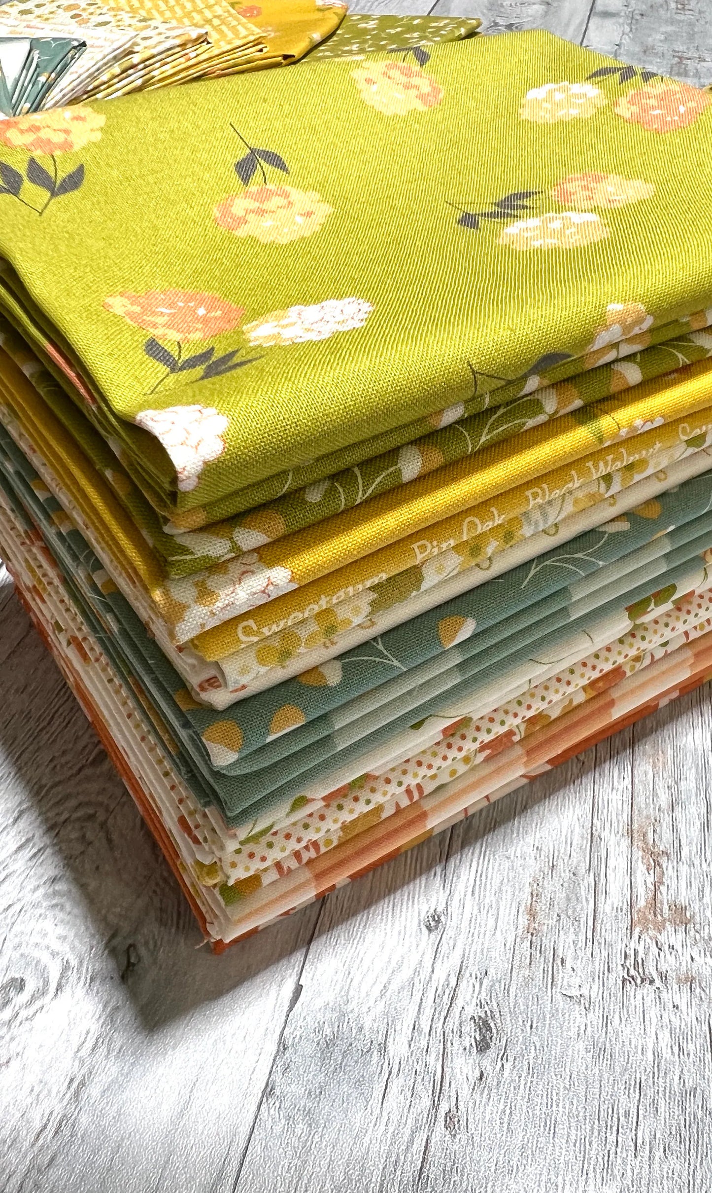 Cozy Up by Corey Yoder - Shop Assembled Fat Quarter Bundle