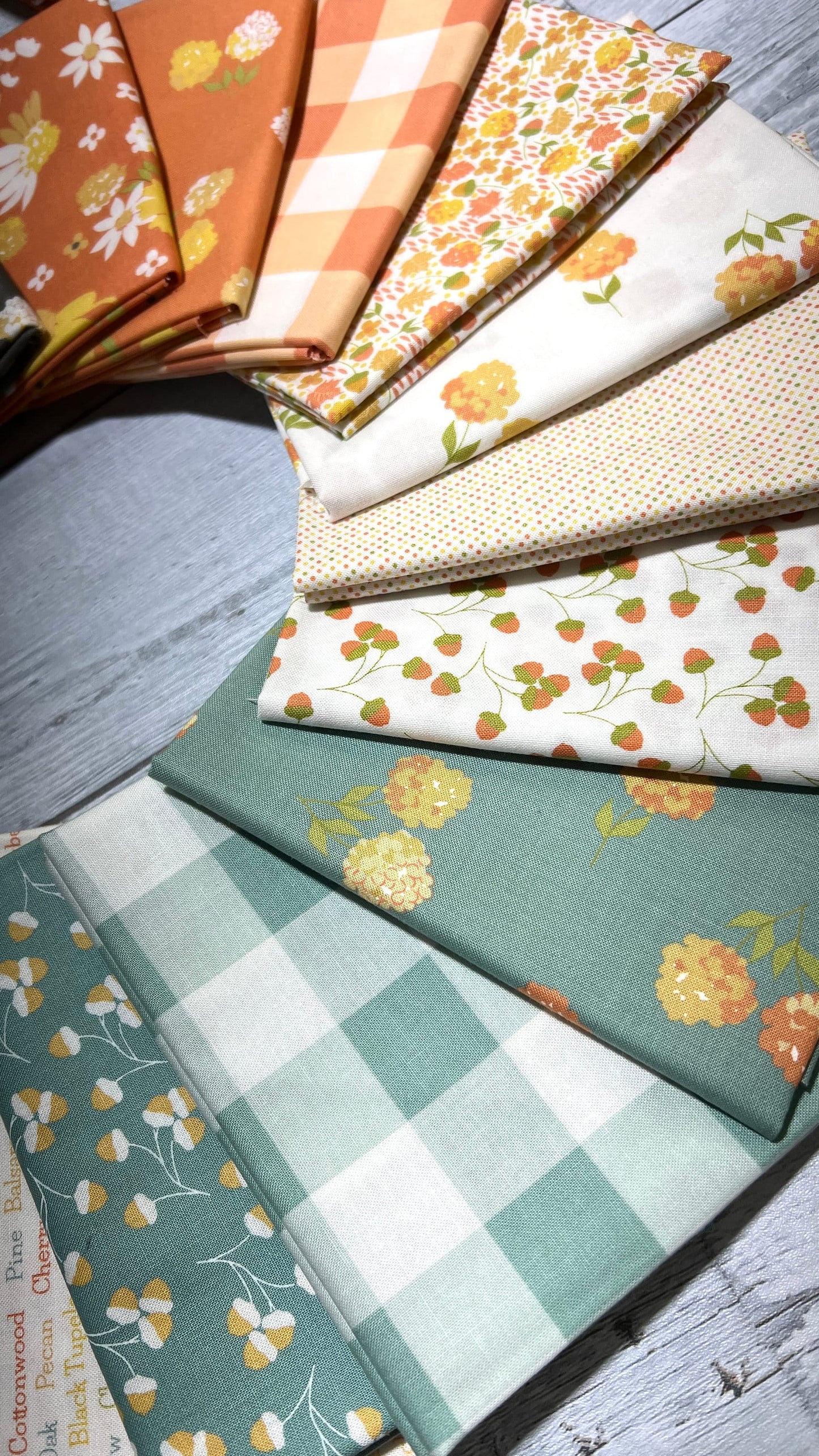 Cozy Up by Corey Yoder - Shop Assembled Fat Quarter Bundle