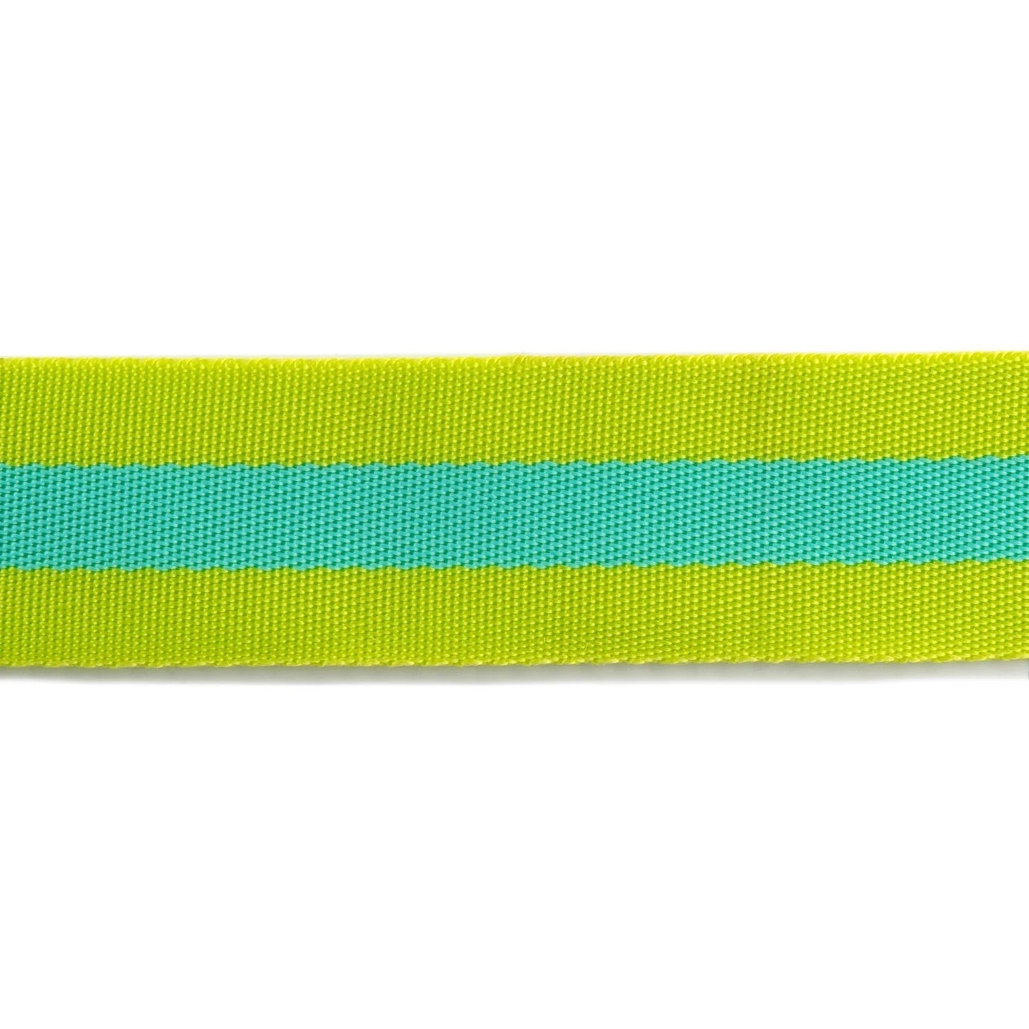 Tula Pink- Lime Zest 1.5" Webbing: Sold By the Yard- Cut Continuously